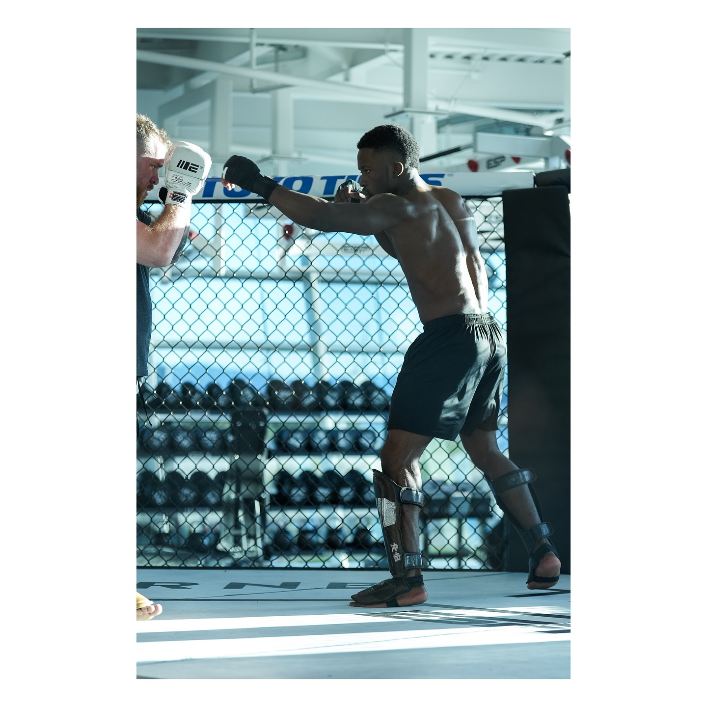 Adult MMA training — boxing pad work
